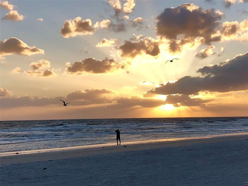 For Sale: $1,675,000 (3 beds, 2 baths, 2009 Square Feet)