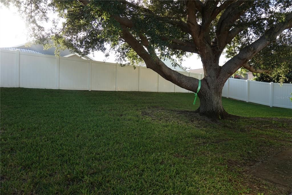 For Rent: $1,950 (4 beds, 2 baths, 1902 Square Feet)