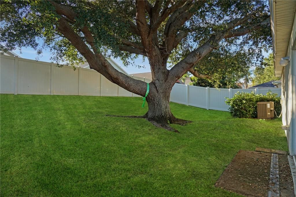 For Rent: $1,950 (4 beds, 2 baths, 1902 Square Feet)