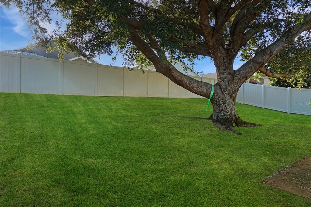 For Rent: $1,950 (4 beds, 2 baths, 1902 Square Feet)