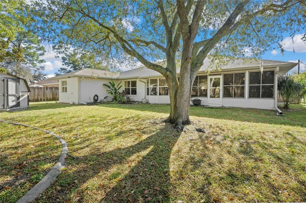 В аренду: $2,100 (3 спален, 2 ванн, 1832 Квадратных фут)