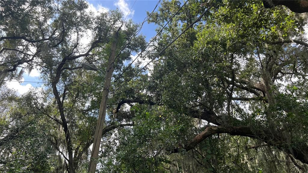 For Sale: $40,000 (0.82 acres)