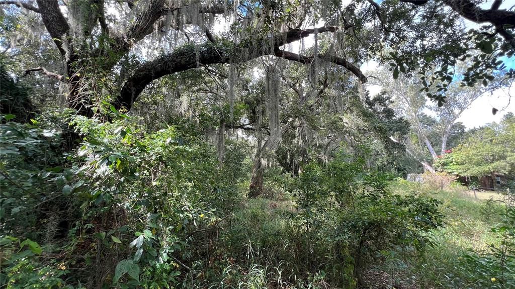 For Sale: $40,000 (0.82 acres)