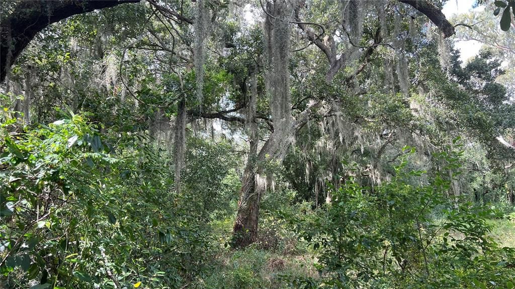 For Sale: $40,000 (0.82 acres)