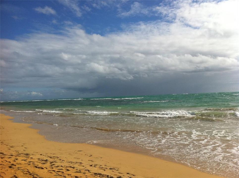 For Rent: $3,000 (4 beds, 2 baths, 2133 Square Feet)