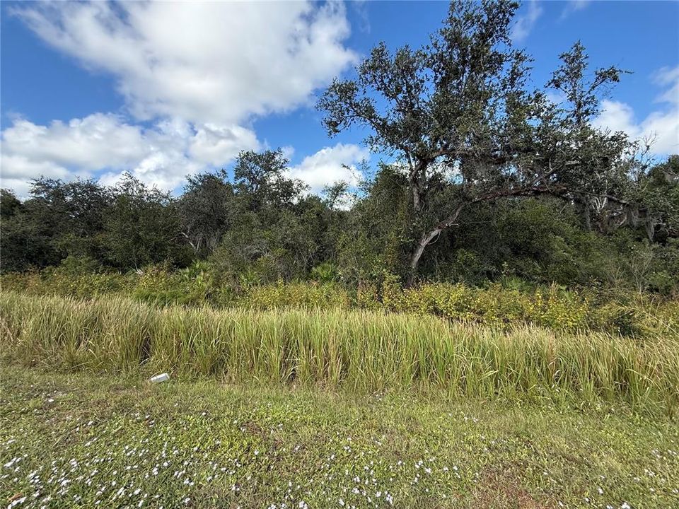 For Sale: $25,000 (0.74 acres)