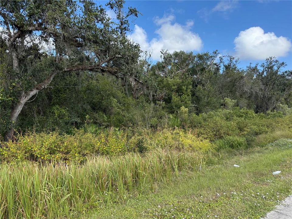 For Sale: $25,000 (0.74 acres)