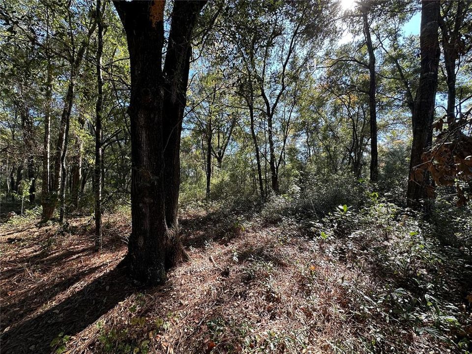 For Sale: $25,000 (0.44 acres)