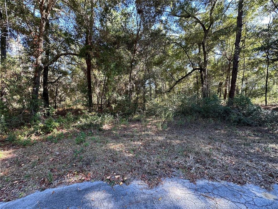 For Sale: $25,000 (0.44 acres)