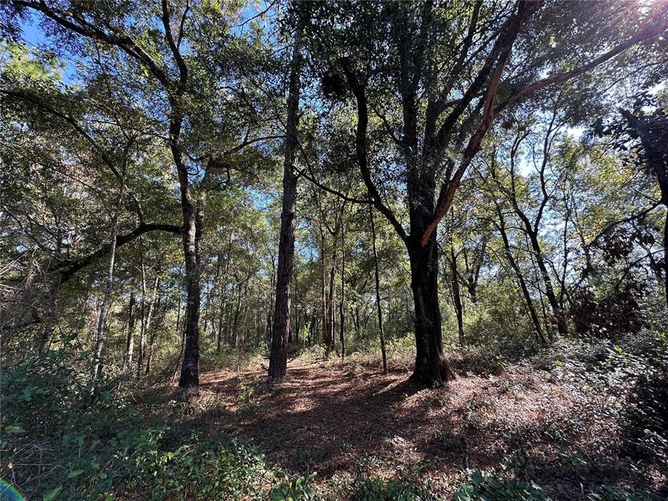 For Sale: $25,000 (0.44 acres)