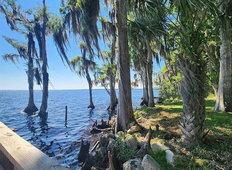 For Sale: $12,000 (0.23 acres)