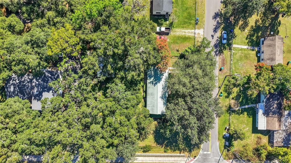 待售: $260,000 (4 贝兹, 1 浴室, 1362 平方英尺)