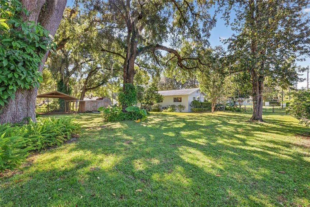 待售: $260,000 (4 贝兹, 1 浴室, 1362 平方英尺)