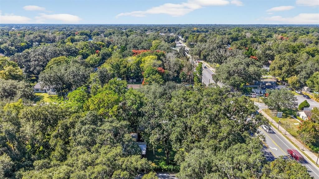 待售: $260,000 (4 贝兹, 1 浴室, 1362 平方英尺)