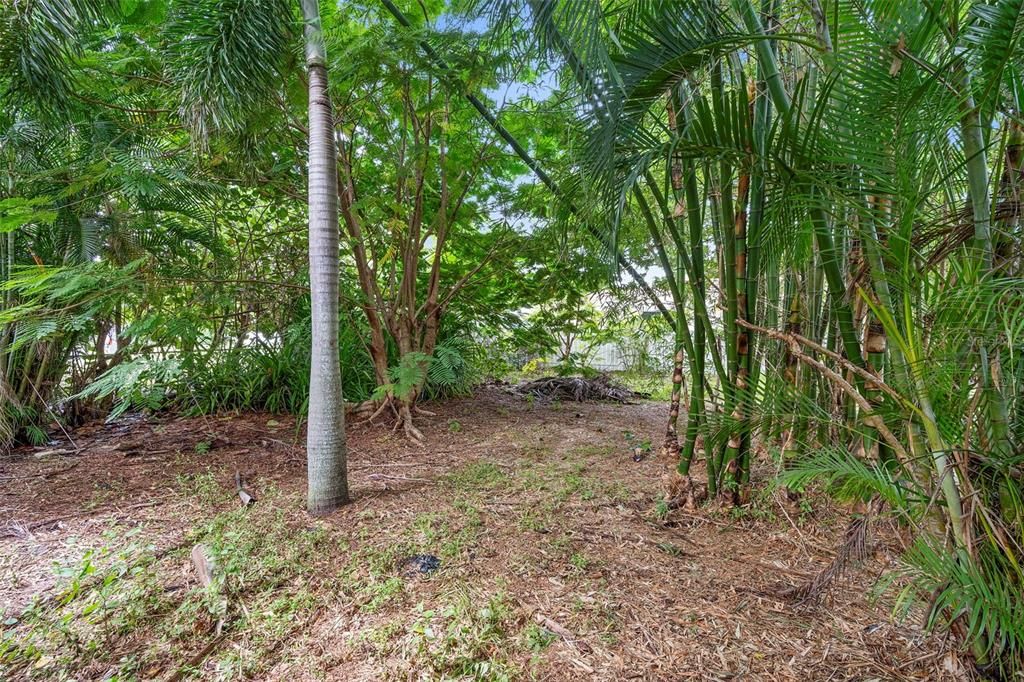 待售: $350,000 (3 贝兹, 1 浴室, 1334 平方英尺)