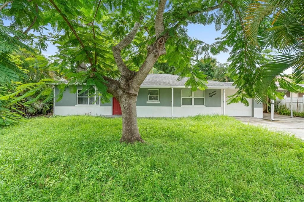 待售: $350,000 (3 贝兹, 1 浴室, 1334 平方英尺)