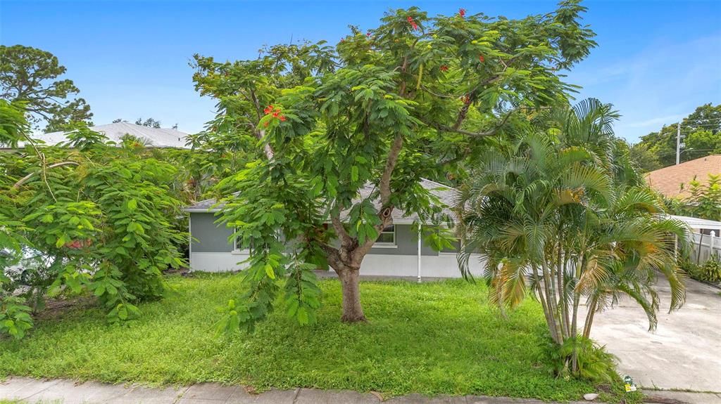 待售: $350,000 (3 贝兹, 1 浴室, 1334 平方英尺)