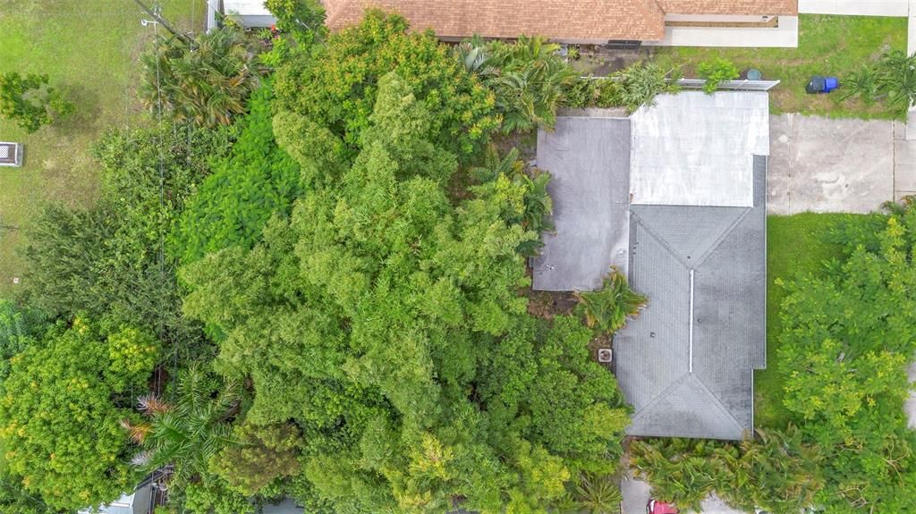 待售: $350,000 (3 贝兹, 1 浴室, 1334 平方英尺)