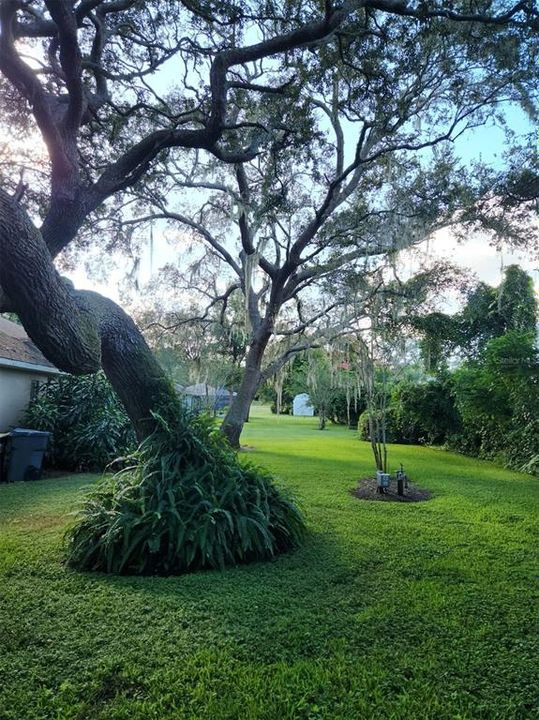 На продажу: $565,000 (4 спален, 4 ванн, 3464 Квадратных фут)