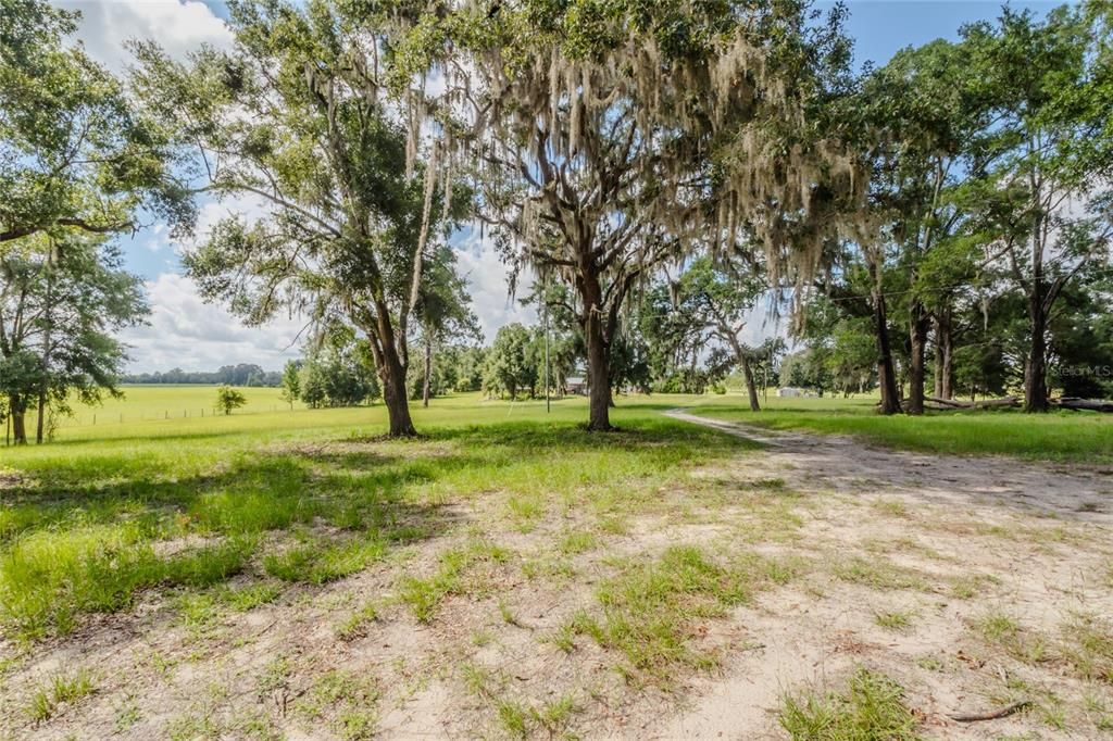 На продажу: $125,000 (10.00 acres)