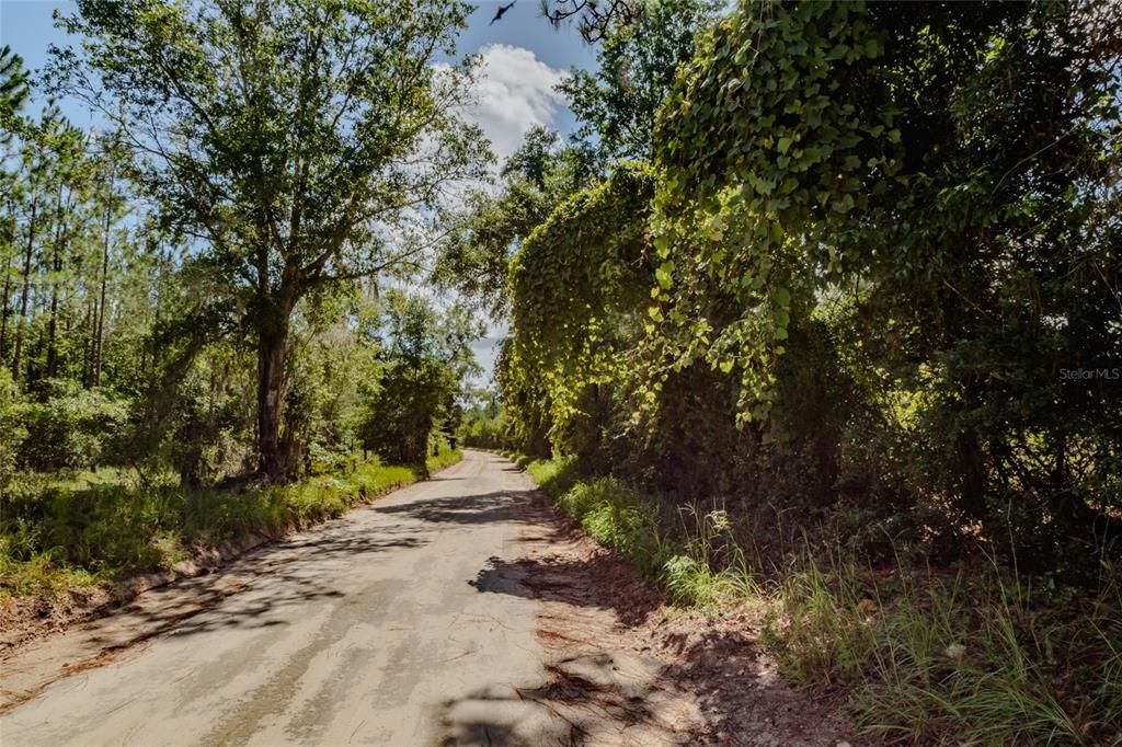 На продажу: $125,000 (10.00 acres)