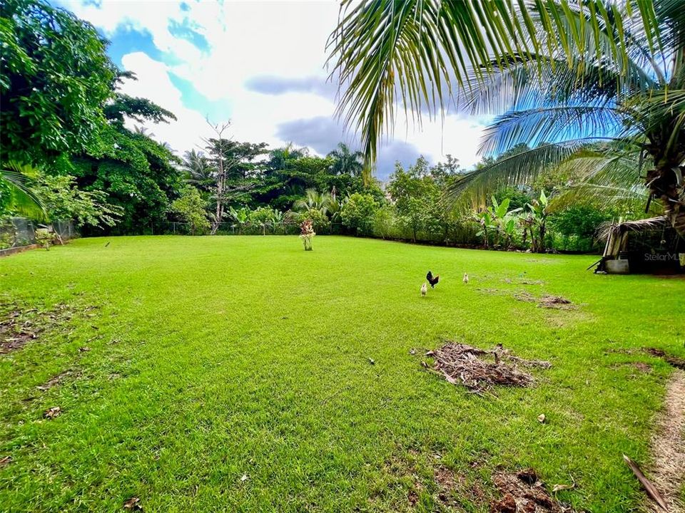 На продажу: $165,000 (0.55 acres)