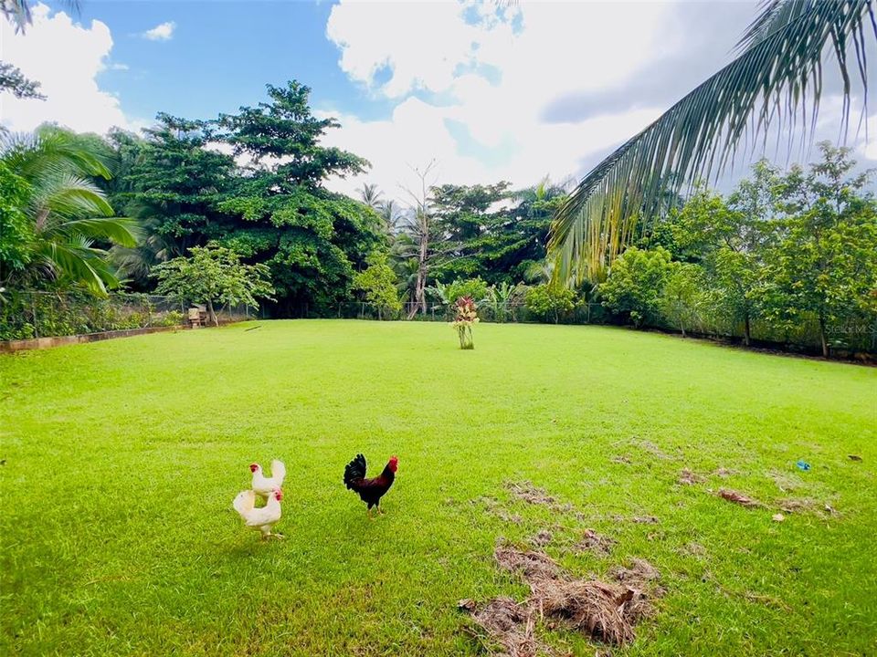 На продажу: $165,000 (0.55 acres)