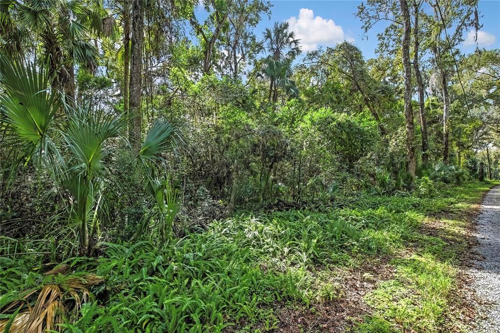 待售: $30,000 (0.51 acres)