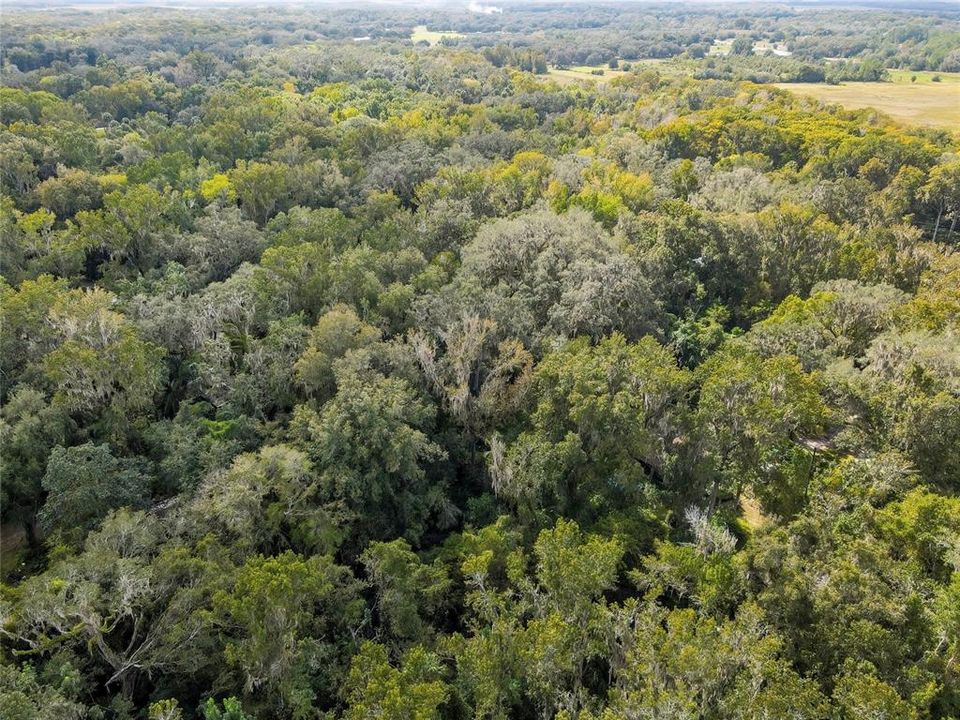 待售: $30,000 (0.51 acres)