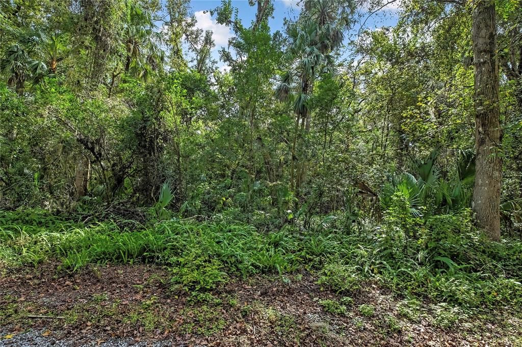 待售: $30,000 (0.51 acres)