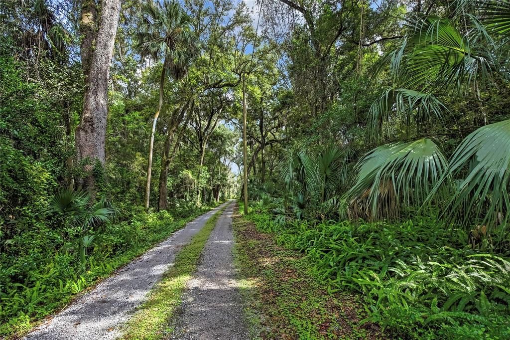 待售: $30,000 (0.51 acres)