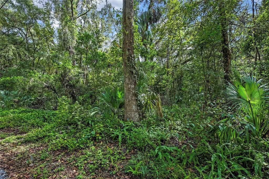 待售: $30,000 (0.51 acres)