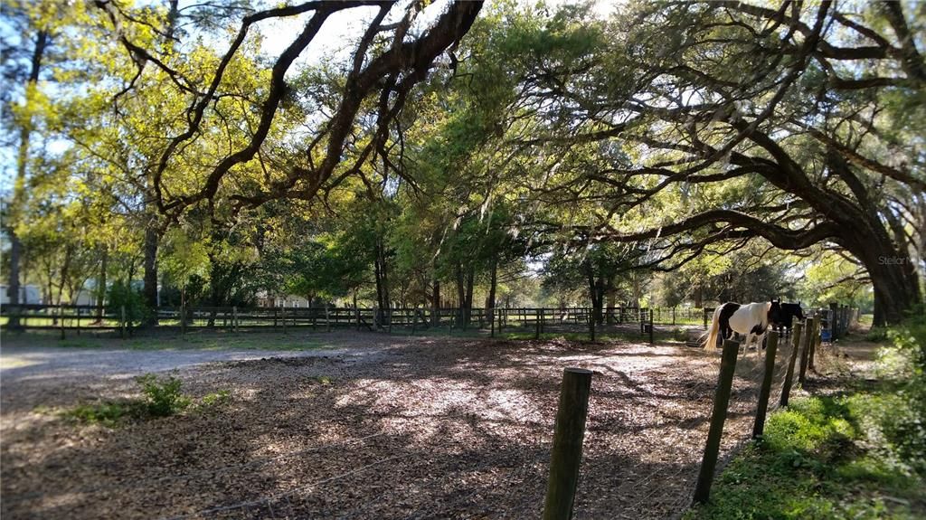 For Sale: $475,000 (3 beds, 2 baths, 1836 Square Feet)