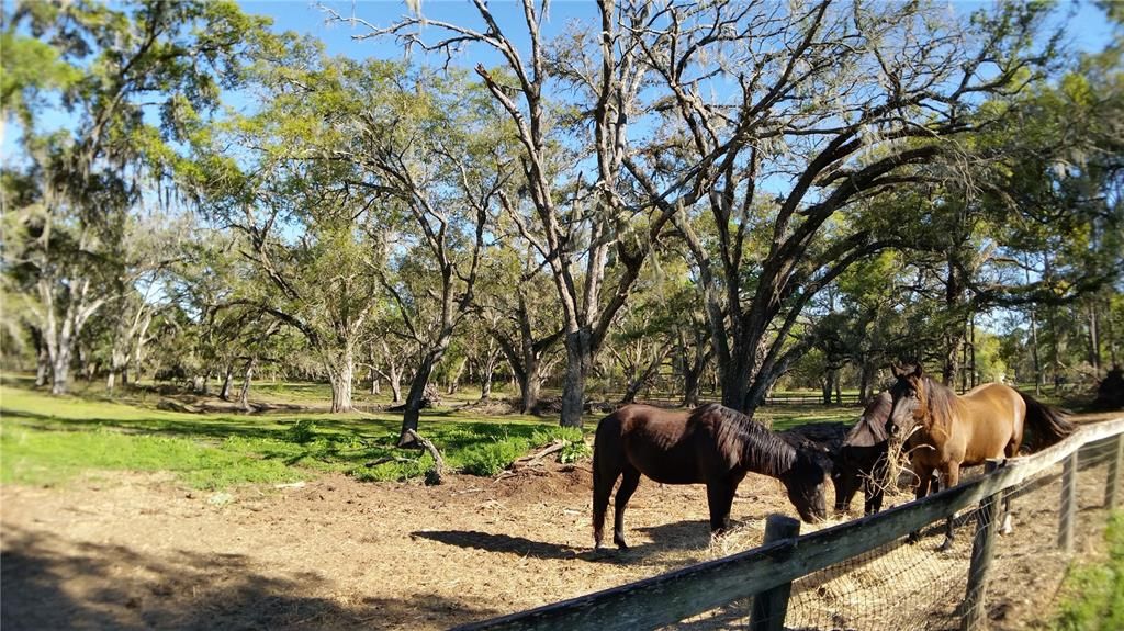 For Sale: $475,000 (3 beds, 2 baths, 1836 Square Feet)