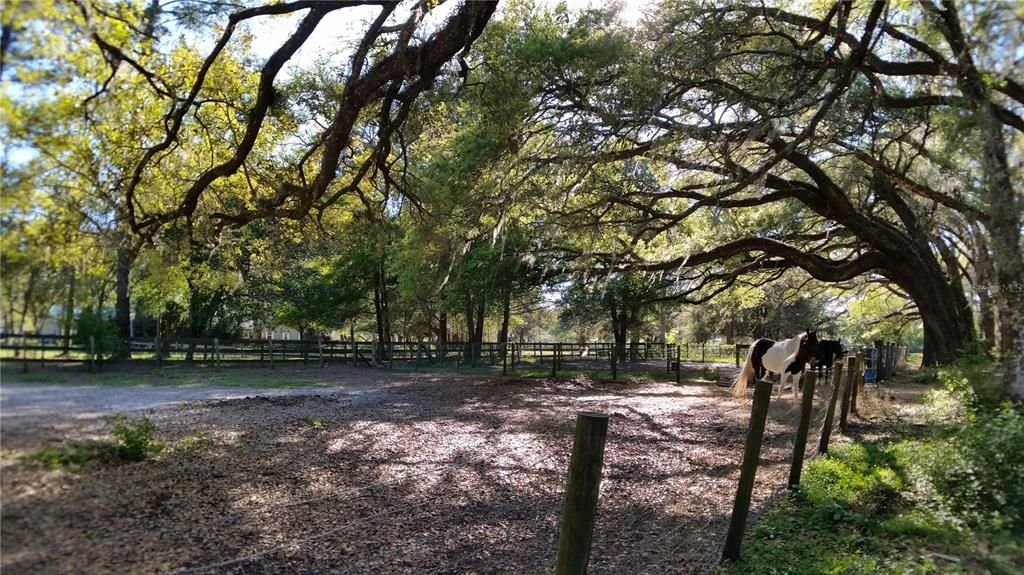 For Sale: $475,000 (3 beds, 2 baths, 1836 Square Feet)