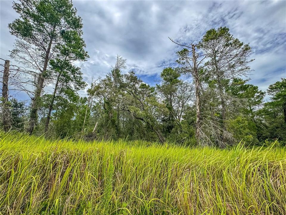 En Venta: $59,000 (0.74 acres)