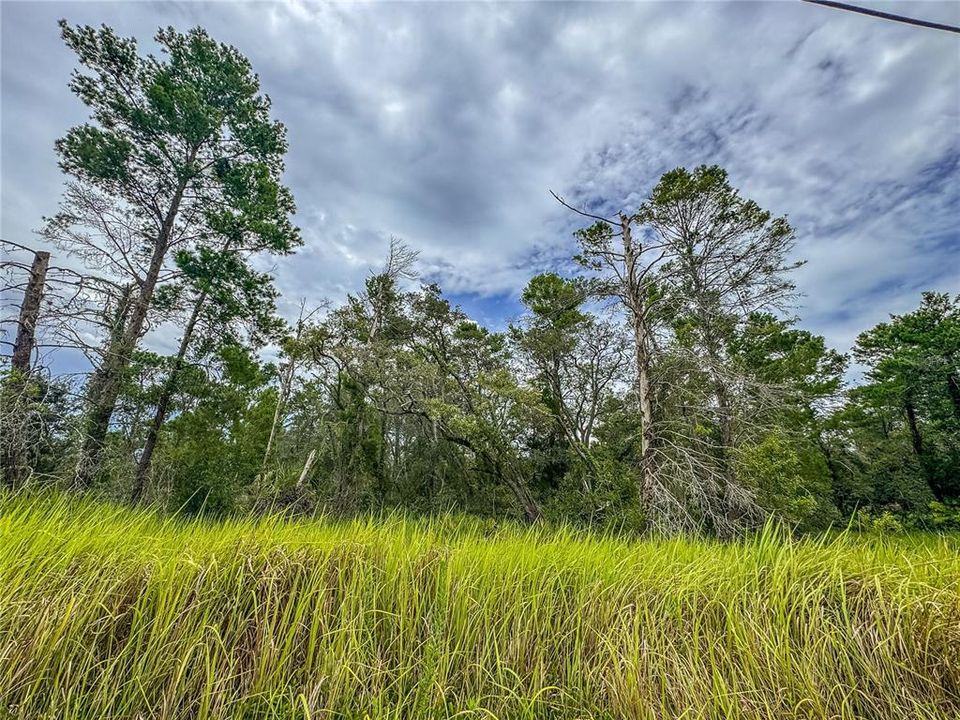 En Venta: $59,000 (0.74 acres)