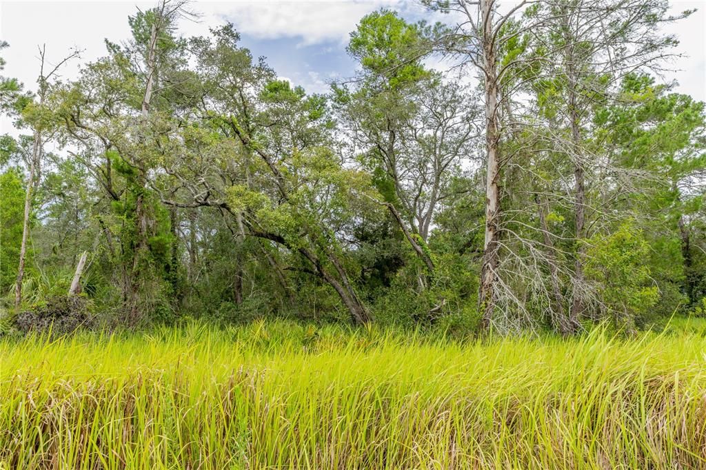 En Venta: $59,000 (0.74 acres)