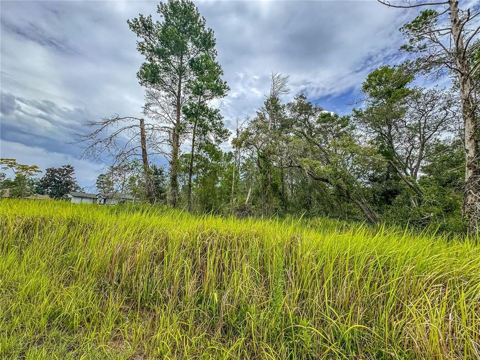 En Venta: $59,000 (0.74 acres)