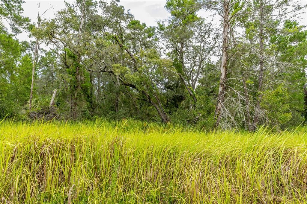 En Venta: $59,000 (0.74 acres)