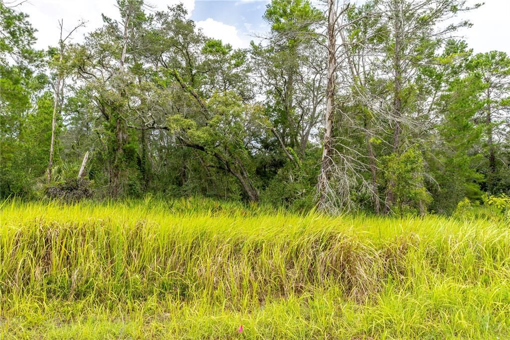 En Venta: $59,000 (0.74 acres)