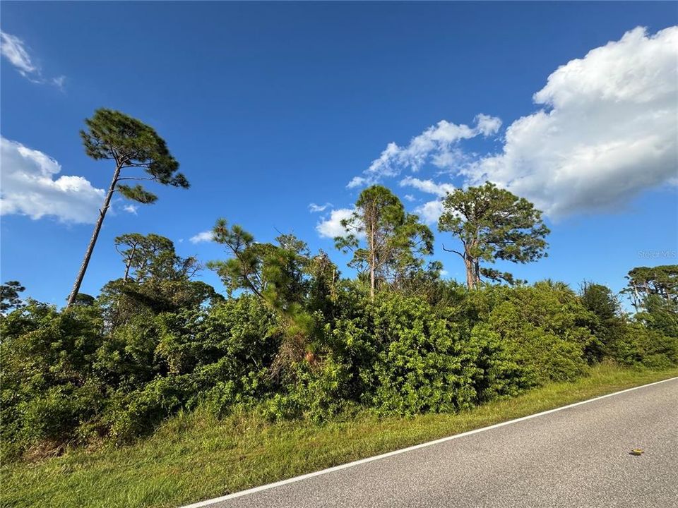 For Sale: $40,000 (0.46 acres)