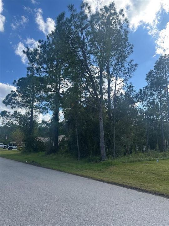 For Sale: $79,900 (0.23 acres)