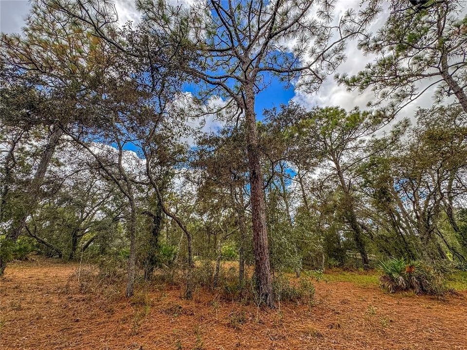 待售: $550,000 (4 贝兹, 2 浴室, 1288 平方英尺)