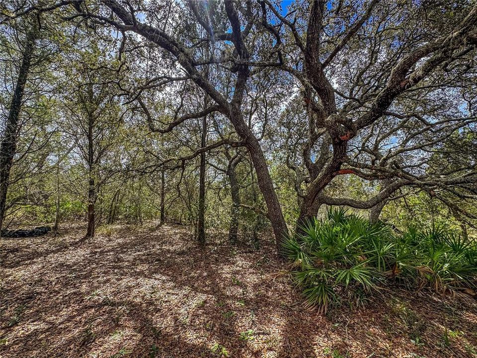 待售: $550,000 (4 贝兹, 2 浴室, 1288 平方英尺)