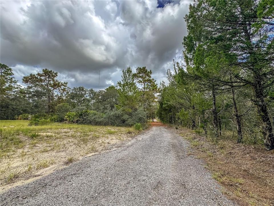 待售: $550,000 (4 贝兹, 2 浴室, 1288 平方英尺)