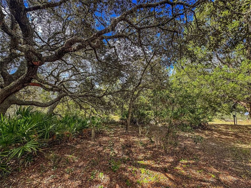 待售: $550,000 (4 贝兹, 2 浴室, 1288 平方英尺)