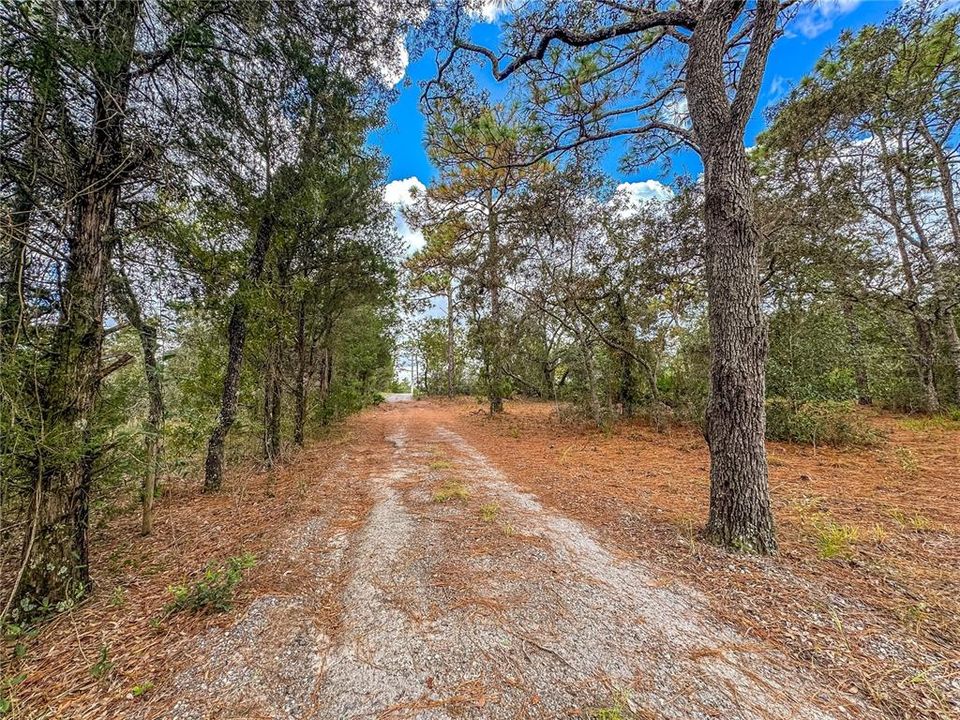 待售: $550,000 (4 贝兹, 2 浴室, 1288 平方英尺)