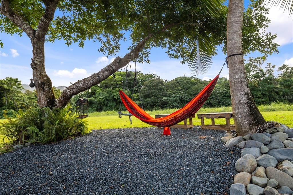 For Sale: $385,000 (3 beds, 2 baths, 966 Square Feet)