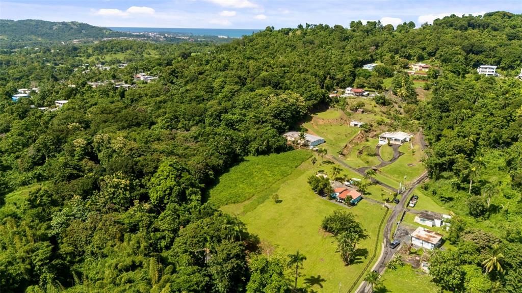 For Sale: $385,000 (3 beds, 2 baths, 966 Square Feet)